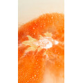 Goldfish Bath Bomb